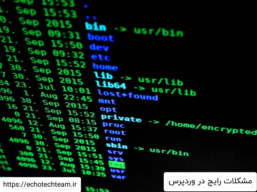 مشکلات رایج در وردپرس